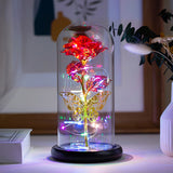 Luminous Roses